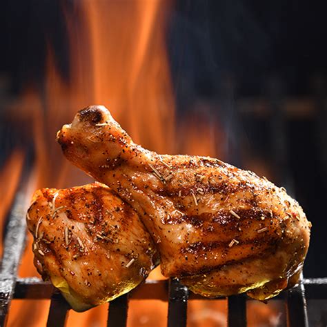 Barbecue Grill Recipes Android APK Free Download – APKTurbo