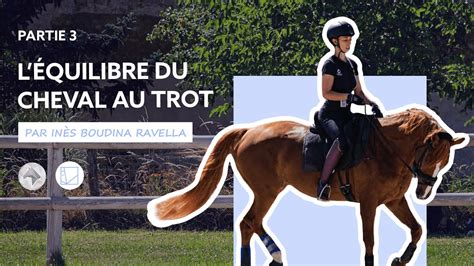 SEAVER x IBR Dressage Séance 3 Améliorer léquilibre du cheval au