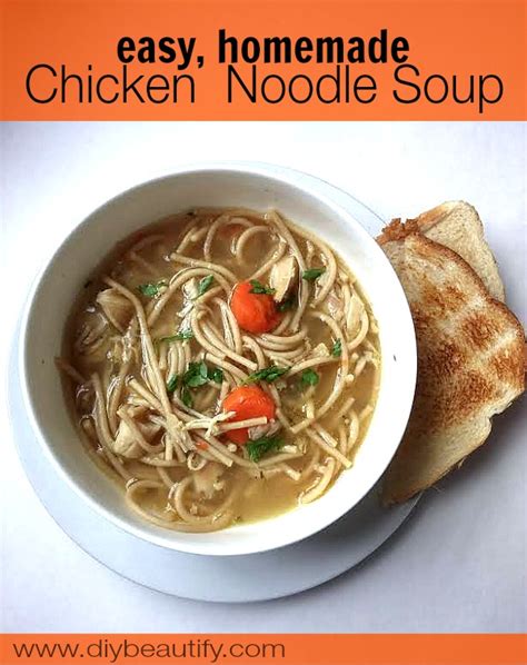 Easy Chicken Noodle Soup From Rotisserie Chicken Leftovers DIY Beautify