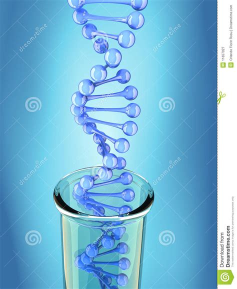 De Structuur Van Dna Stock Illustratie Illustration Of Organisme