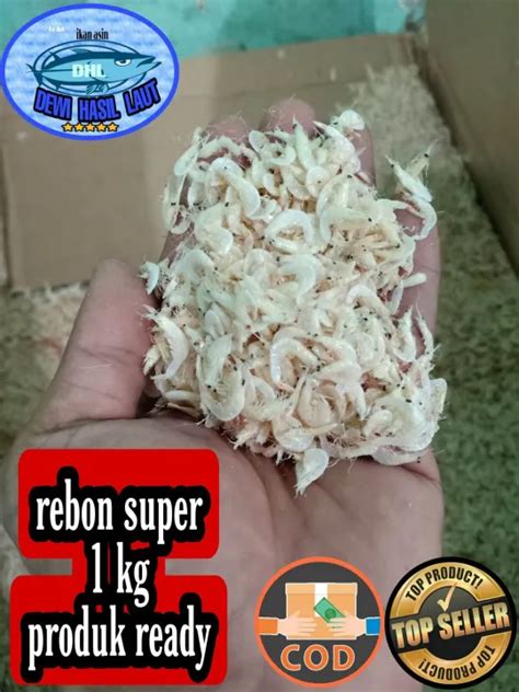 Ikan Asin Rebon Super 1kg Lazada Indonesia