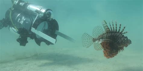 Guardian LF1 Robot Sucks Up Atlantic Lionfish To Protect Ecosystems