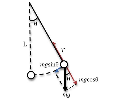 What is the formula for speed of pendulum at any point? | Socratic