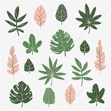 Gambar Set Daun Tropis Clipart Tropis Tropis Daun Png Dan Vektor