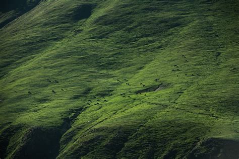 5 Eco-Friendly Design Trends to Watch Right Now - Laurence Carr