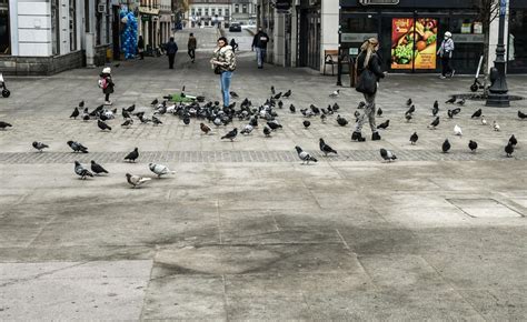 Sprawa Starego Rynku w Bydgoszczy trafiła do prokuratury w Słupsku