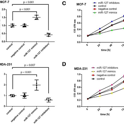 Mir 127 Inhibited Viability In Mcf 7 And Mda 231 Cells A The Relative Download Scientific