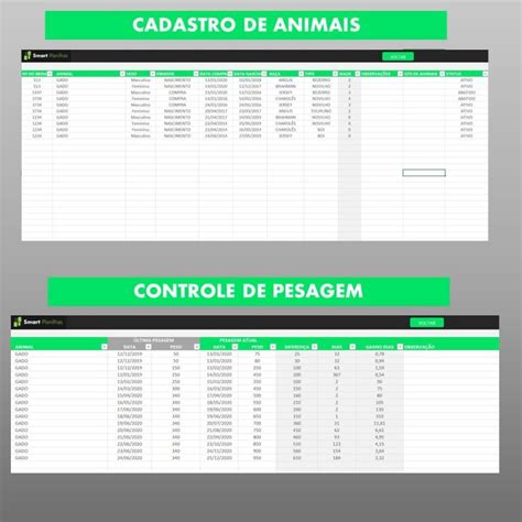 Planilha Gest O De Gado De Corte Sistema Agropecu Rio Smart Planilhas