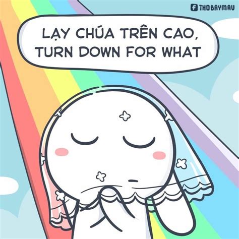 Top ảnh Lạy Meme Chó Mèo Hài Hước Nhất Năm 2024