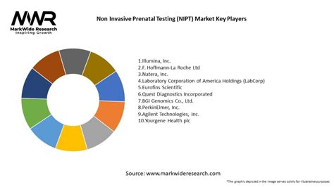 Non Invasive Prenatal Testing NIPT Market 2024 2032 Size Share Growth