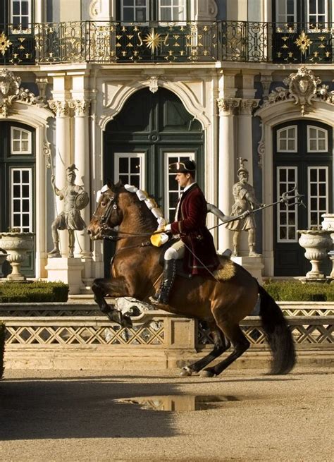 Escola Portuguesa De Arte Equestre Portuguese School Of Equestrian