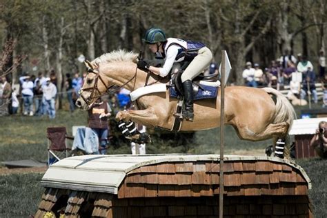 The Phases Discover What Is Eventing Eventing Horses Show Jumping