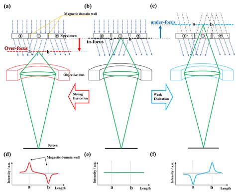 Lorentz Electron Microscopy Glossary JEOL Ltd