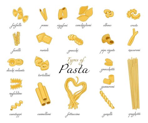 Collection Of Pasta Set Of Different Types Of Pasta Isolated On White