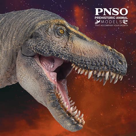 Chuanzi The Tarbosaurus Scientific Art Model From Pnso Prehistoric