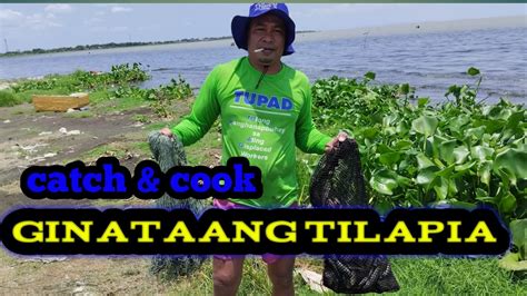 Ep Castnet Fishing Dala Catch And Cook Ginataang Tilapia