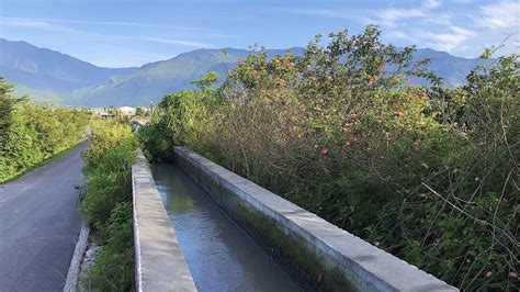 台東鹿野｜二層坪水橋，客家移民村 輕旅行