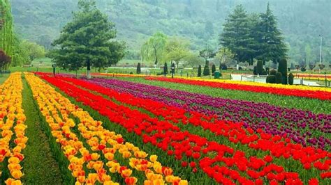 Kashmir In May Places To Visit Things To Do Travel Guide