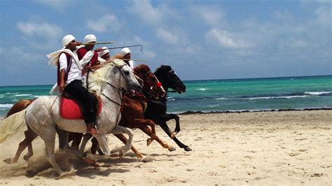 5 Reasons To Visit Djerba, Tunisia - Traveler Dreams