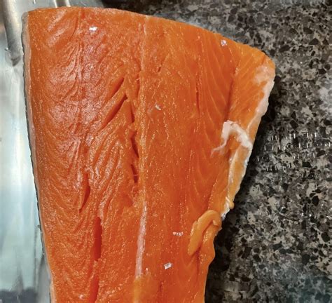 Ik Heb Een Week Geleden Zalm Gekocht En Wilde Het Vandaag Als Avondeten