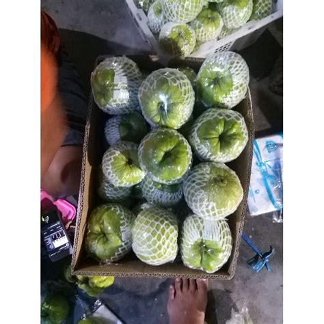 Jual Jambu Kristal Fresh Grade A Shopee Indonesia