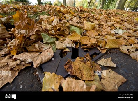 Rainwater Drains Hi Res Stock Photography And Images Alamy