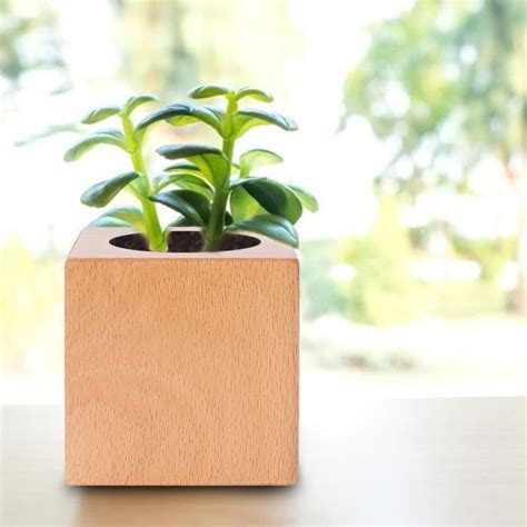 Fydun Planteur Succulent Pot De Fleurs En Bois Pour Succulentes Cactus