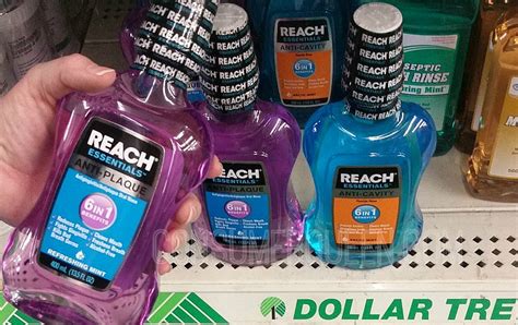 New Dollar Tree Finds Reach Mouth Rinse Dermasil Keebler Club Bites