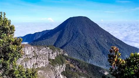 Gunung Gede Jalur Pendakian Harga Tiket Masuk Dan Cara Daftar