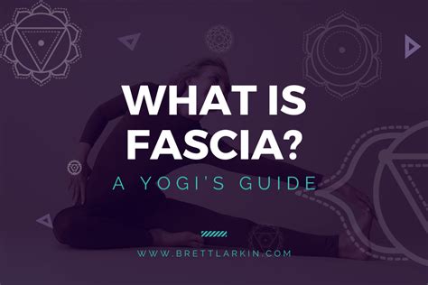 What Is Fascia In The Body A Yogis Guide Brett Larkin Yoga