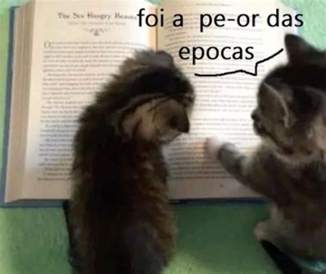 Pin De Resty Douglas Em Talvez Memes Fotos De Animais Engraçados