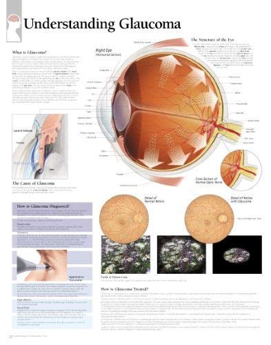 national institute of ophthalmic sciences - Faith Walker