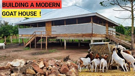 How To Construct A Modern Goat House And The Cost Simple And Easy