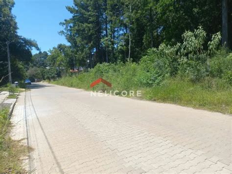 Lote Terreno na Rua Alberto Adolpho Fruchtenicht 100 Campestre em São