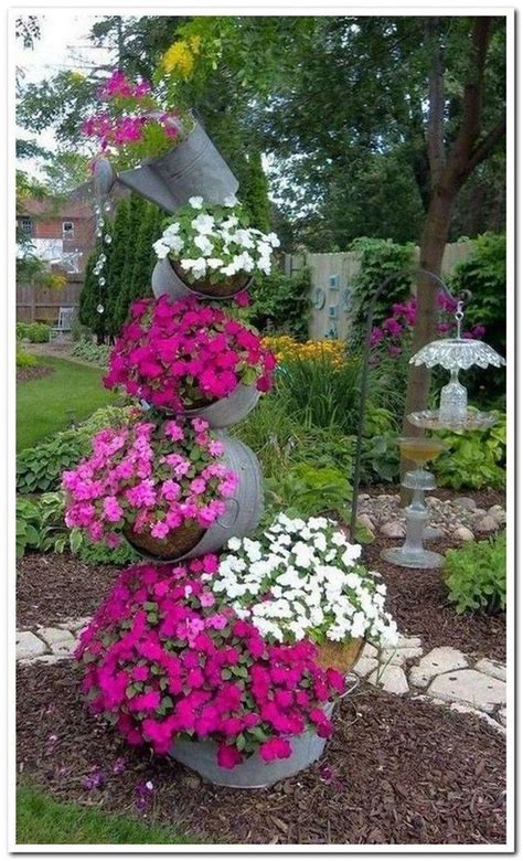 Best tips for how to care geraniums in winter to stay beautiful | My ...