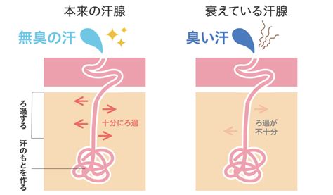 体臭をケアする11の対策！3ステップで高レベルな体臭対策ができる ボデオ360（bodeo）公式通販｜シックスセンスラボ