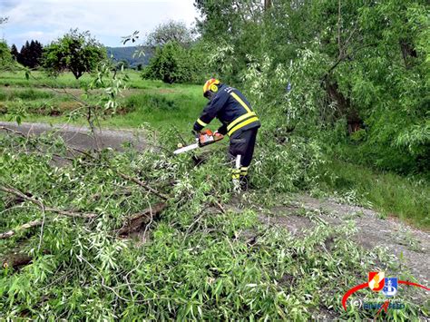 Stadtfeuerwehr Pinkafeld Beseitigung Von Sturmsch Den