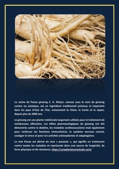 Ginseng Panax Ginseng bienfaits propriétés vertus posologie avis