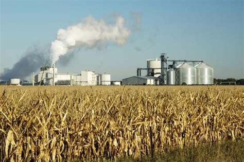 biofuel | Definition, Types, & Pros and Cons | Britannica.com