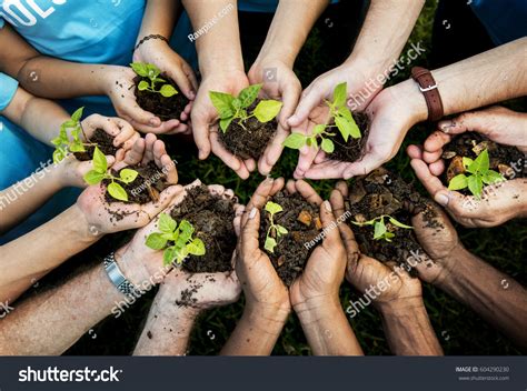 People Hands Cupping Plant Nurture Environmental Stock Photo