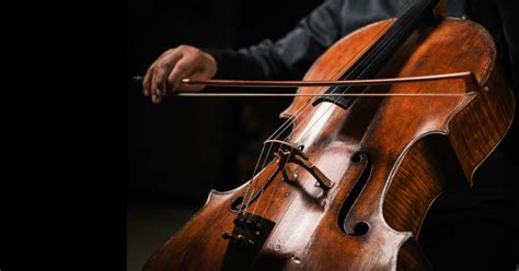 How Temperature Affects Your Cello Tuning | tonebase Cello