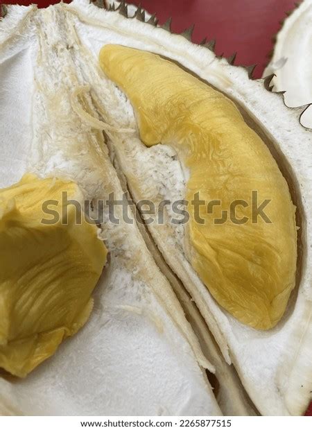 Musang King Durian Species Alao Known Stock Photo 2265877515 | Shutterstock