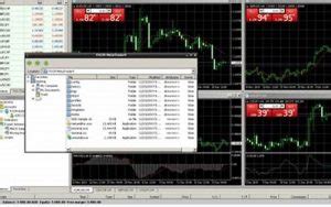 Metatrader VPS Solusi Hosting Untuk Trading Forex Yang Lebih Cepat Dan