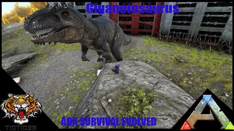 Ark Survival Evolved Giganotosaurus Youtube