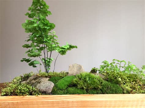 24 Fern And Moss Garden Ideas You Cannot Miss Sharonsable