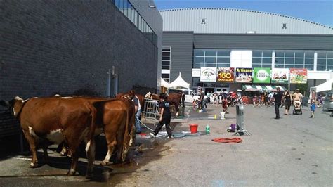 La Famille Au Coeur De L Expo Agricole De Saint Hyacinthe Ici Radio