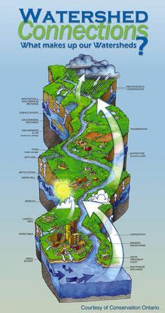 15 Watershed Poster ideas | watersheds, environmental education, hydrology