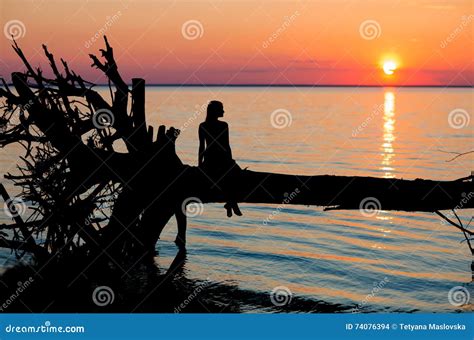 Young Girl Sitting On Tree At Sunset On The Beach Stock Photo Image