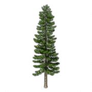 Archivo Png De Fir Tree Png All