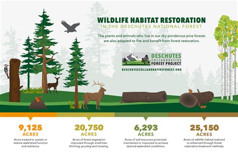 Infographic Wildlife Habitat Restoration Deschutes Collaborative Forest Project